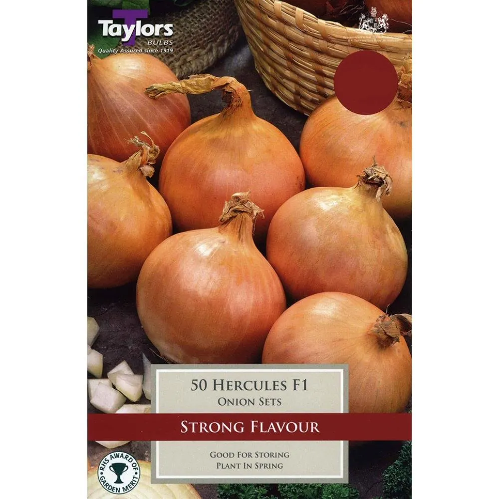 Taylors 50 Onion Hercules F1 Sets